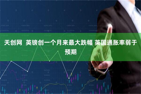 天创网  英镑创一个月来最大跌幅 英国通胀率弱于预期